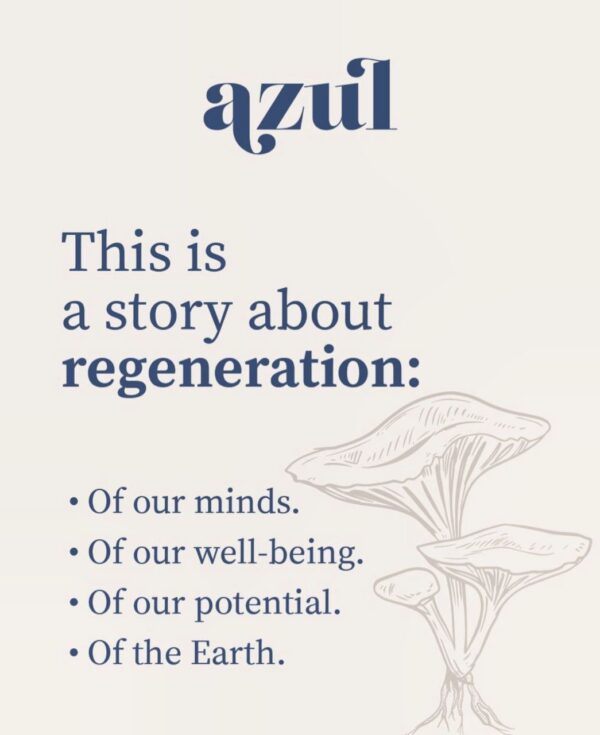 Azul Chocolates